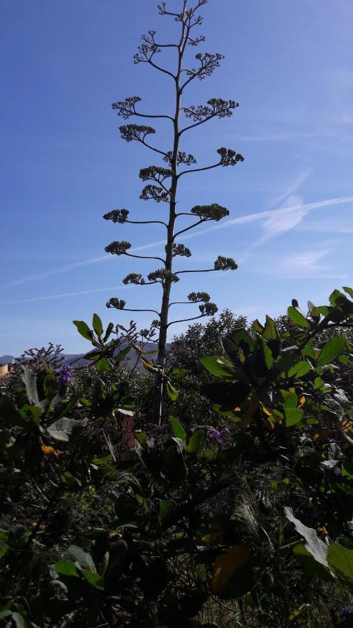 Vistas A Mar, En Paraje Natural La Herradura  Ngoại thất bức ảnh